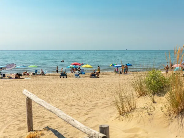 The beach at Roan camping Ca'Savio.