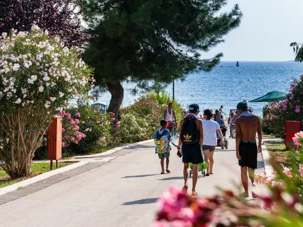 Road towards the sea at Roan camping Bi Village.