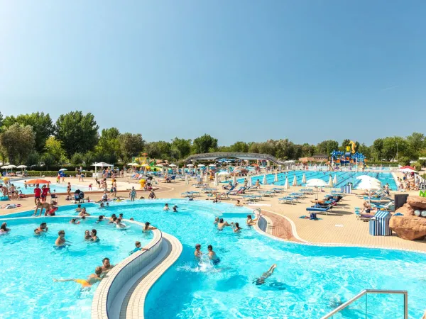 Lively swimming pool at Roan camping Marina Di Venezia.