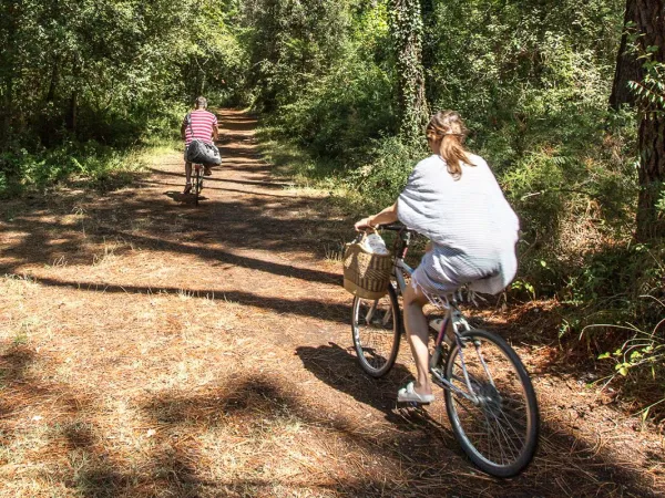 Cycling around Roan camping Sole Family Camping Village.