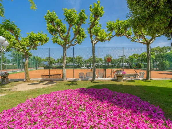 Tennis courts at Roan camping Rubicone.