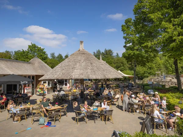 Lively terrace at Roan campsite Marvilla Parks Kaatsheuvel.