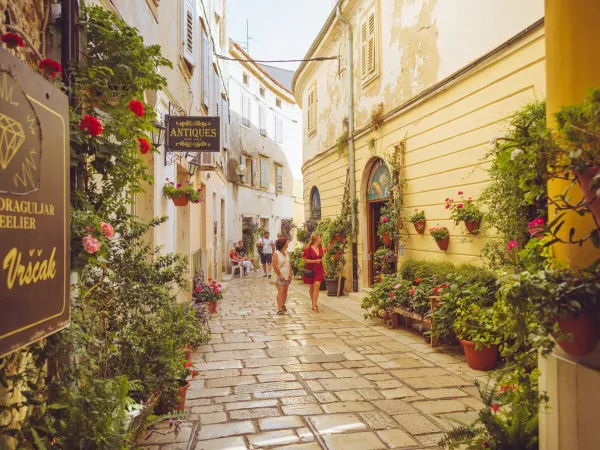 Overview of the city of Porec, Croatia.