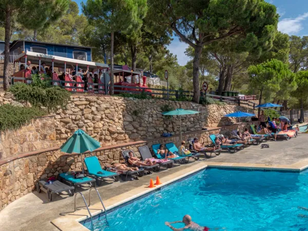 Sunbeds by the pool at Roan camping Internacional de Calonge.