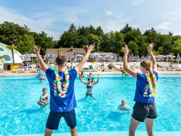 Pool animation at Roan camping hu Birkelt village.