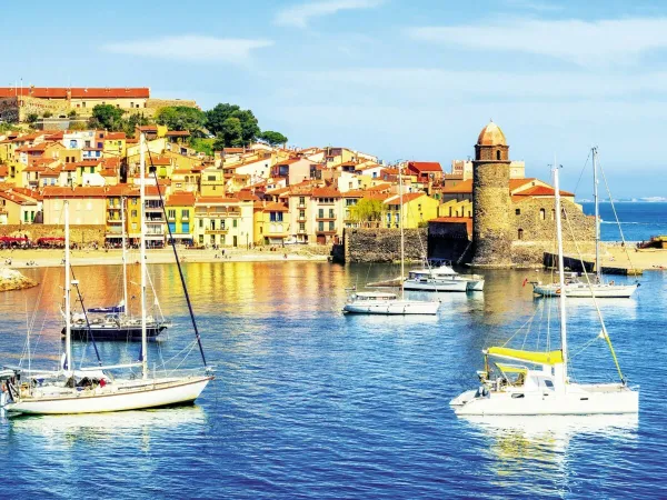 Le Port de Collioure at Roan camping Les Dunes.