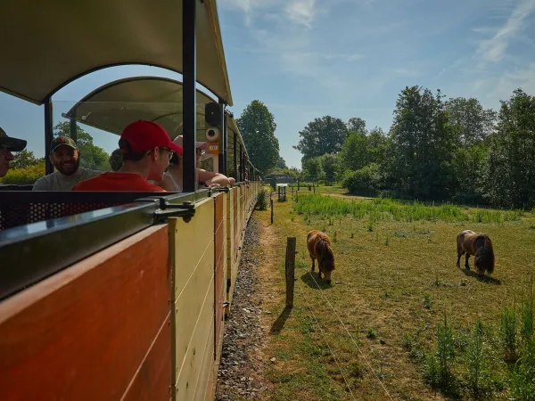 A little train near Roan camping Le Chêne Gris.