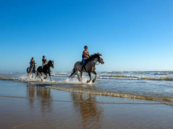 Horse riding near Roan campsite Atlantic Club Montalivet.