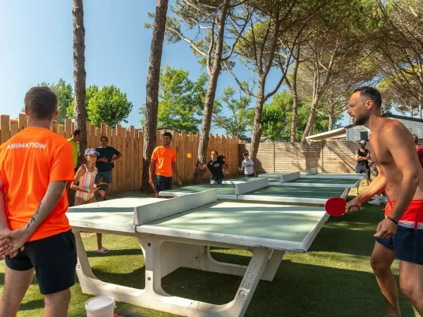 Table tennis at Roan camping Le Castellas.