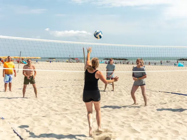 People play beach volleyball at Roan camping Spiaggia e Mare.