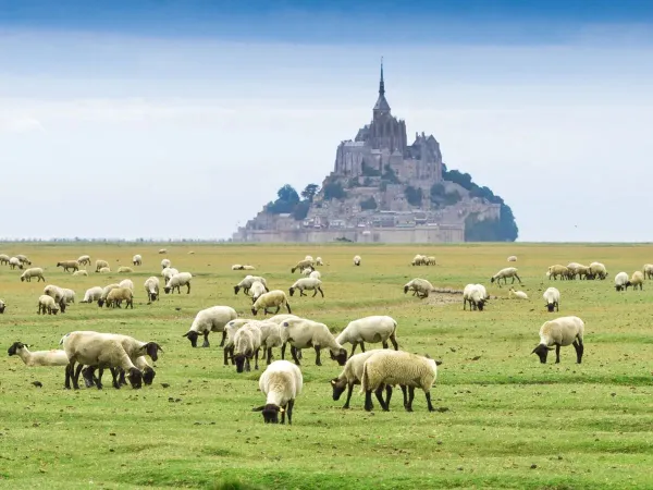 The surroundings of Brittany near Roan camping La Vallée.