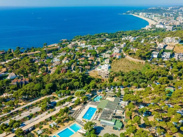 Drone shot of Roan camping Cala Gogo and the beach.