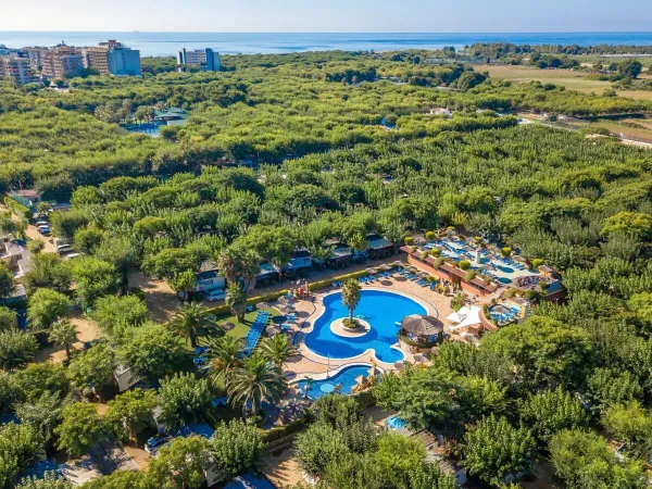 Lively swimming pool at Roan camping La Masia.