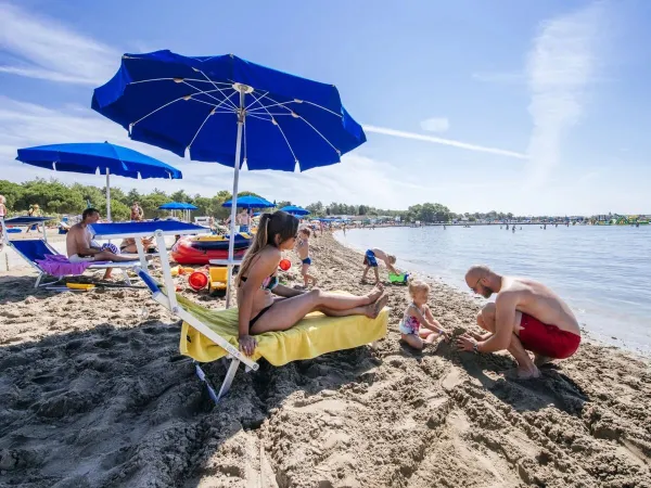 Beach with sunbeds at Roan campsite Zaton Holiday Resort.