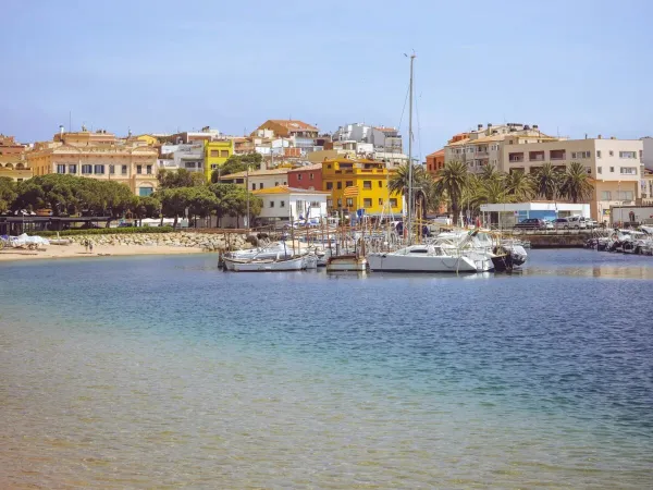 Atmospheric little port of Palamos at Roan campsite Playa Brava.