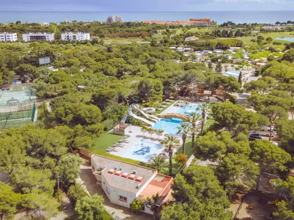 Discover Roan camping El Garrofer in this video.