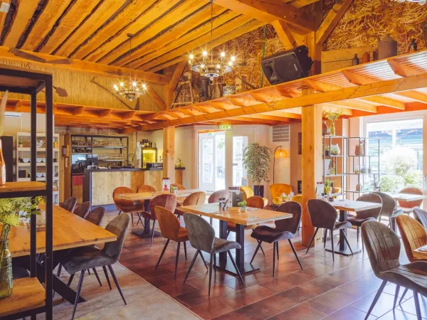 Brasserie 'de Koers' at Roan campsite 't Veld.