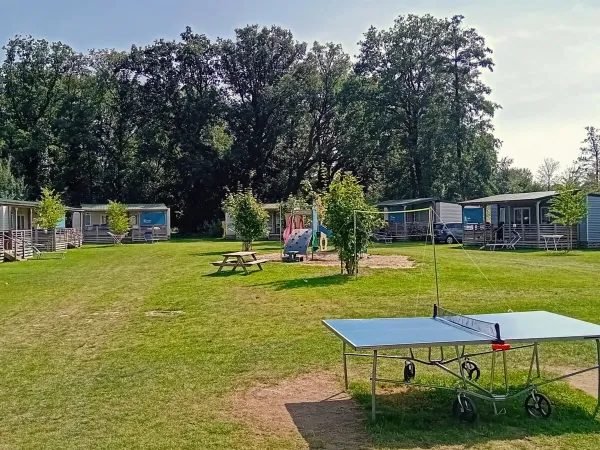 Roan field with playground and table tennis table at Roan campsite De Twee Bruggen.