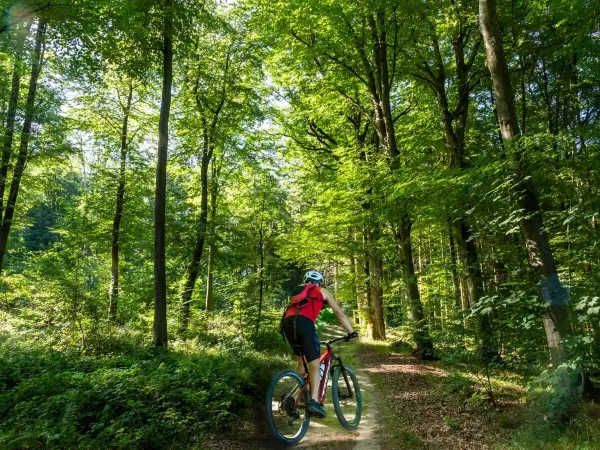 Mountain biking in the beautiful countryside in Luxembourg at Roan camping hu Birkelt village.