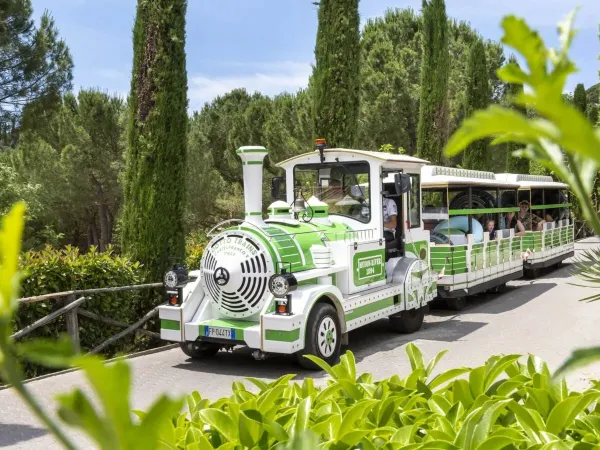 Little train at Roan camping hu Norcenni Girasole village.