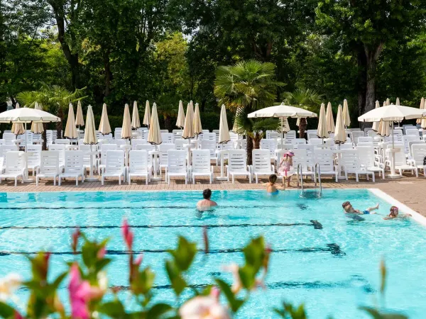 Olympic swimming pool at Roan campsite Altomincio Family Park.