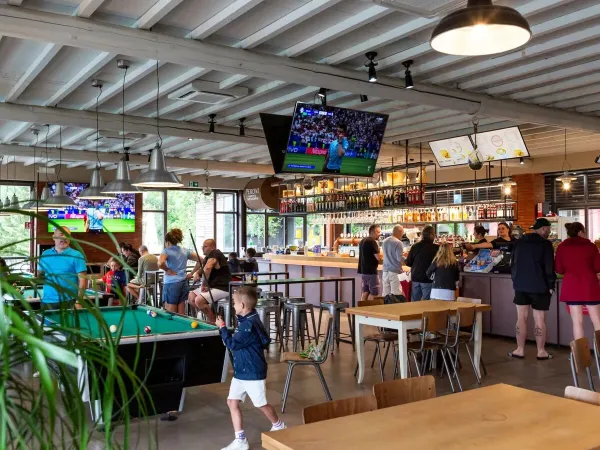Watching sports at the bar at Roan camping hu Norcenni Girasole village.