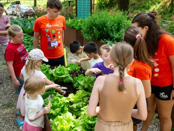 Children and entertainment team in the vegetable garden at Roan camping hu Norcenni Girasole village.