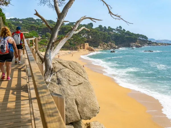Walk by the sea at Roan camping Internacional de Calogne.