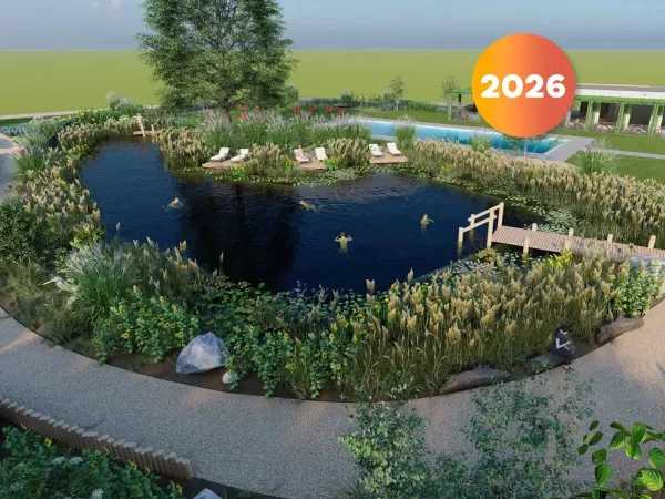 A natural pond for swimming at Roan campsite De Twee Bruggen.