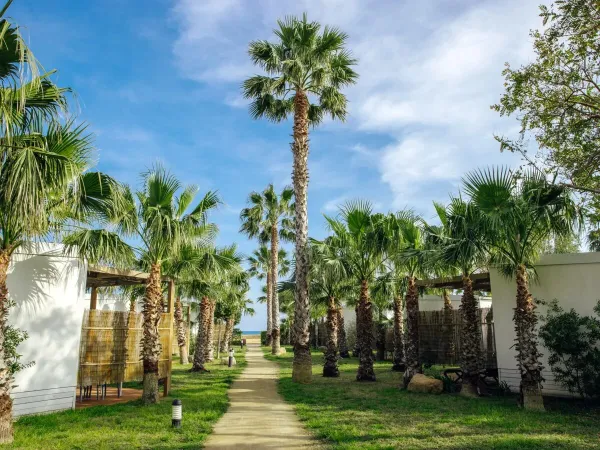 An accommodation street at Roan campsite Alannia Els Prats.