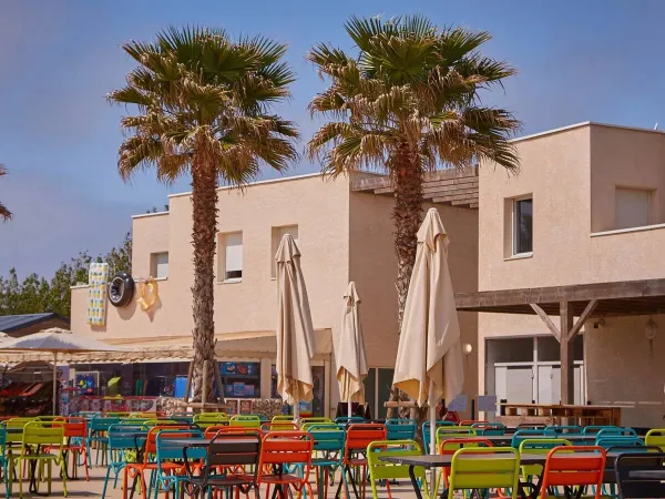 The colourful terrace with palm trees at Roan campsite Le Petit Mousse.