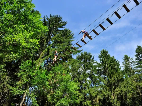 Climb and scramble on the tree-climbing course at Roan camping Le Lac des Vieilles Forges.