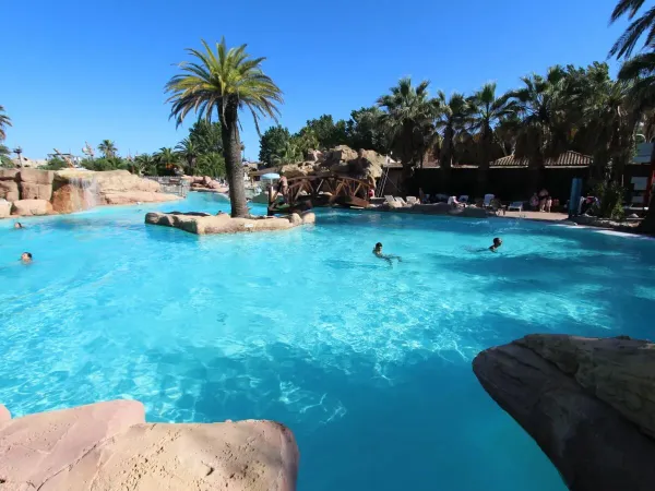 Swim in the pool with tropical trees at Roan campsite Les Sables d'Or.