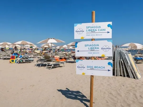The sandy beach on the Adriatic coast directly adjacent to the campsite.
