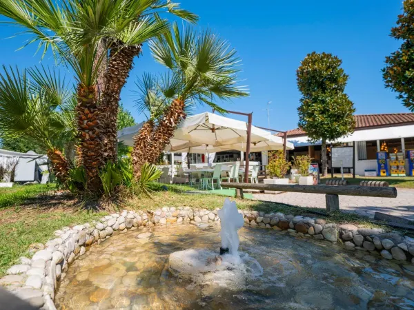 Landscaped water fountain with palm trees at Vigna sul Mar campsite.
