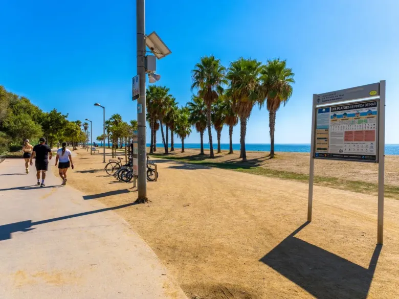 The beach at Roan Caballo de Mar campsite.