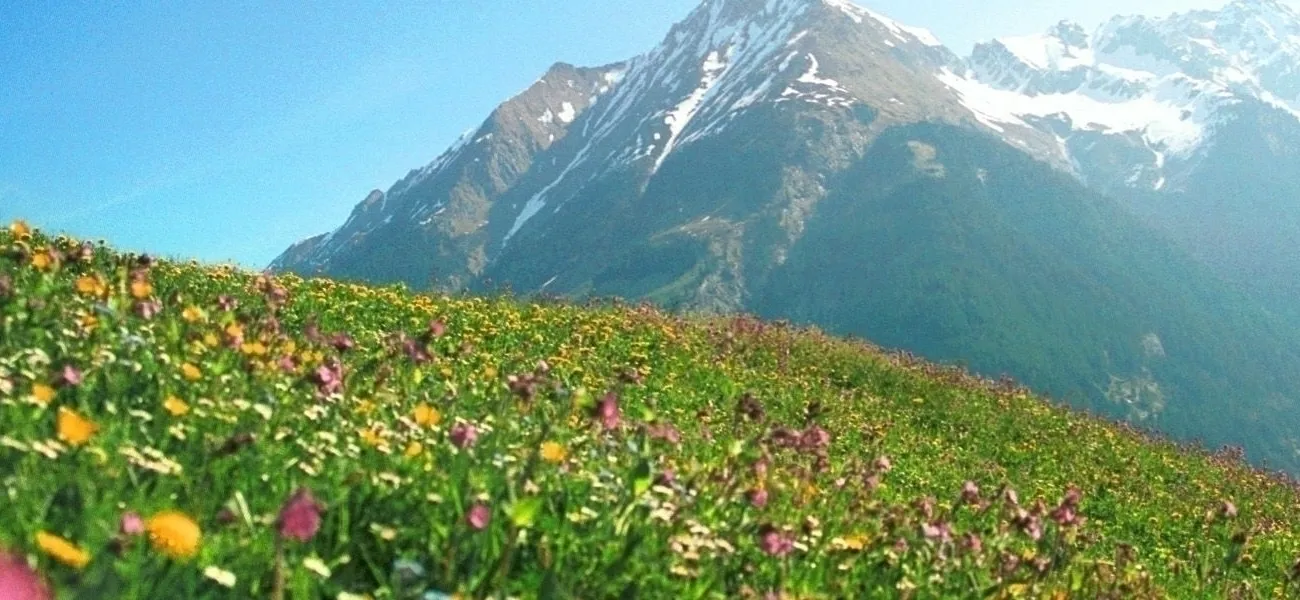 Campsites in Austria with swimming pool