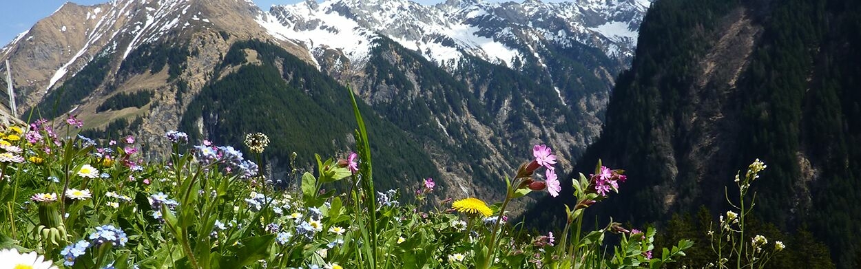 Camping Austria