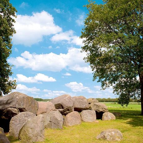 Our campings in Drenthe